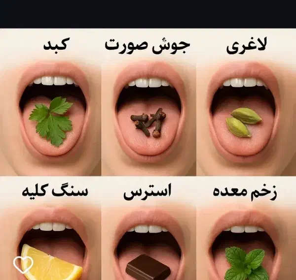 طب سنتی|فعالیت داوطلبانه|بیرجند, |دیوار