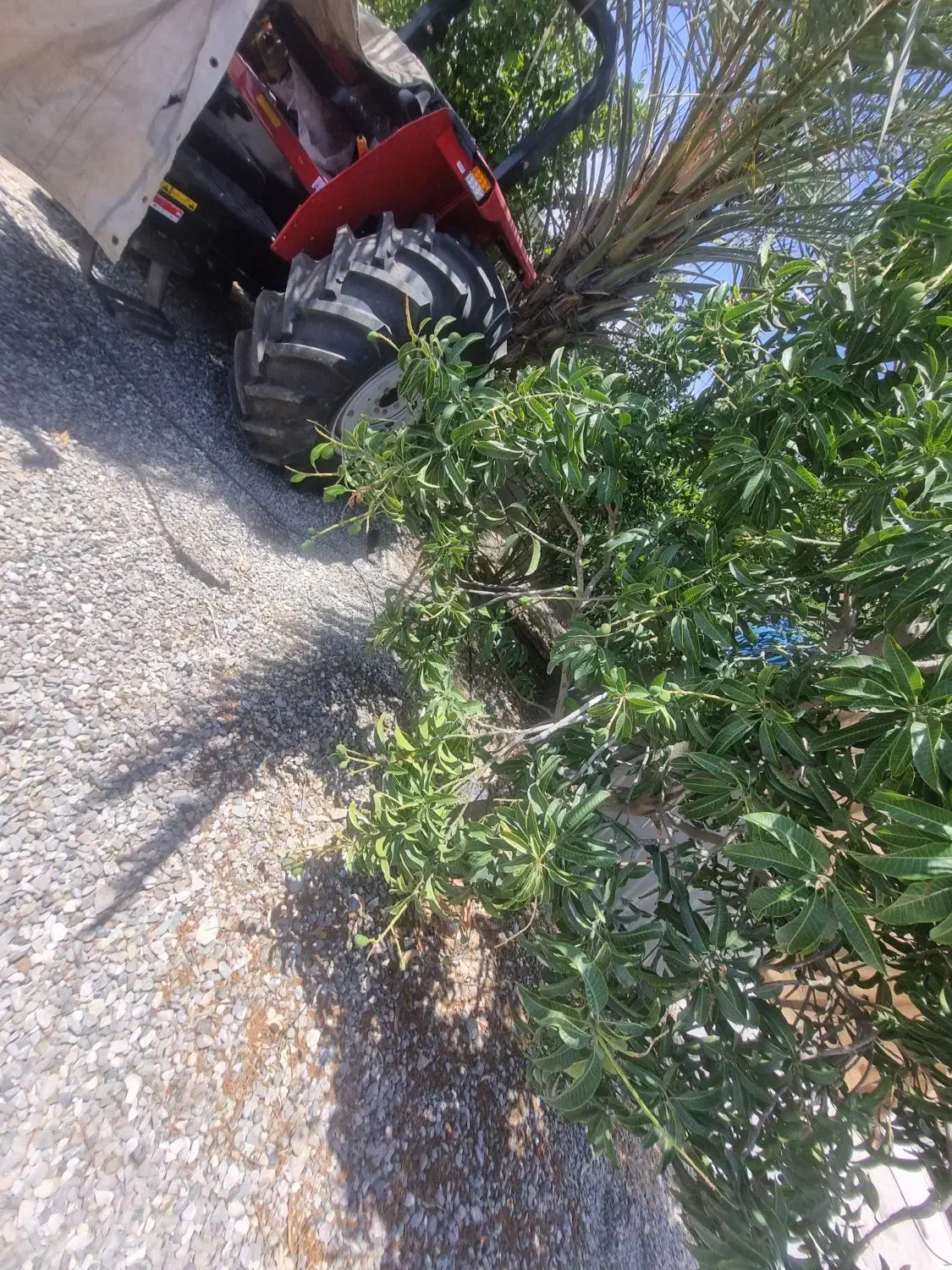 تراکتور ۴۷۵ تک مدل ۱۴۰۱|خودرو سنگین|بندرعباس, |دیوار