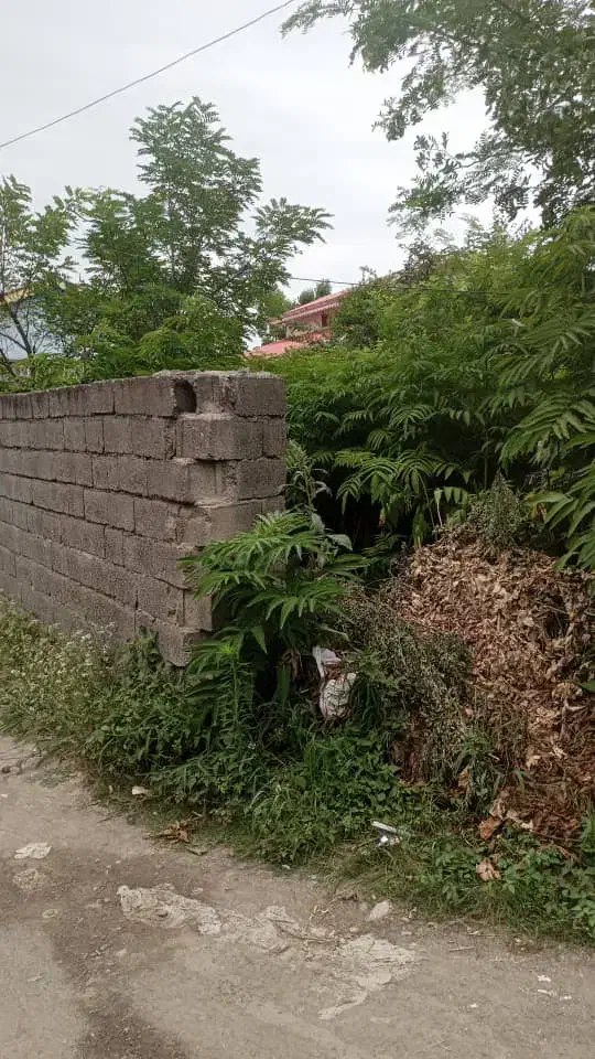 فروش فوری زمین ۲۰۰ متری تالش ( ترشابر )|فروش زمین و ملک کلنگی|تالش, هشتپر|دیوار