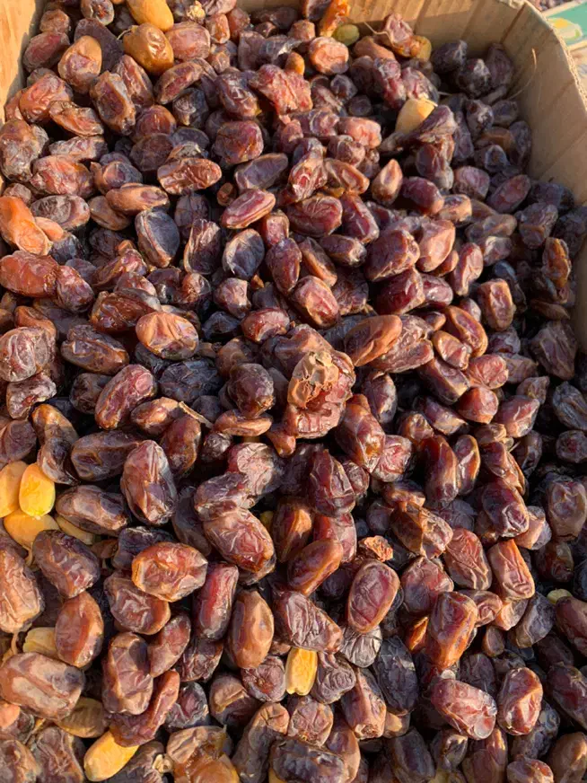 نیازمند خرماپاکن(دالکی)|استخدام صنعتی، فنی، مهندسی|برازجان, |دیوار