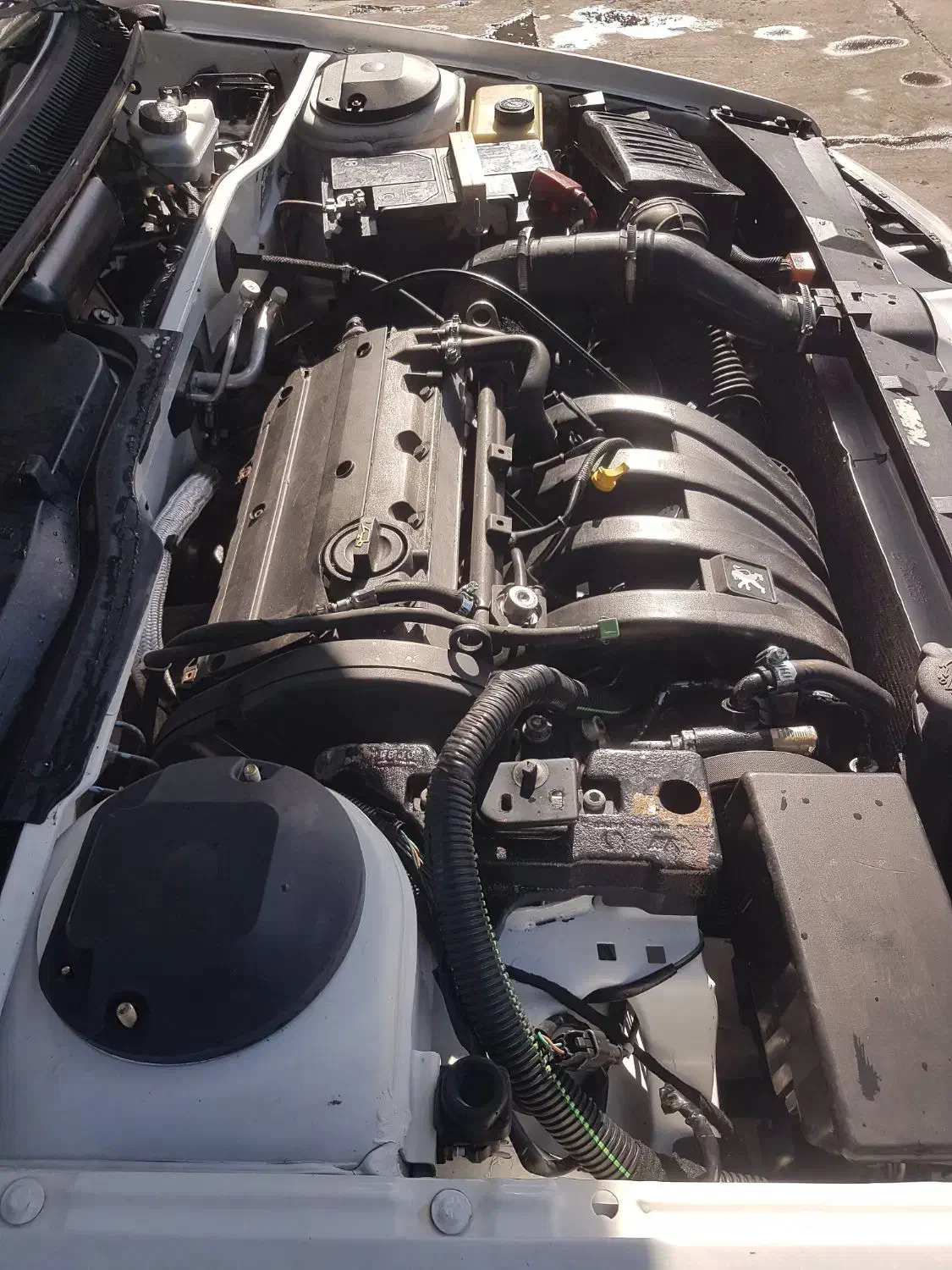 پارس Elx متور زانتیا|خودرو سواری و وانت|اصفهان, نصرآباد|دیوار