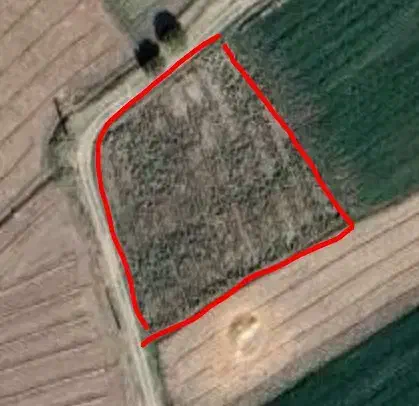 زمین در متراژ ۲۵۰۰|فروش زمین و ملک کلنگی|خوی, |دیوار