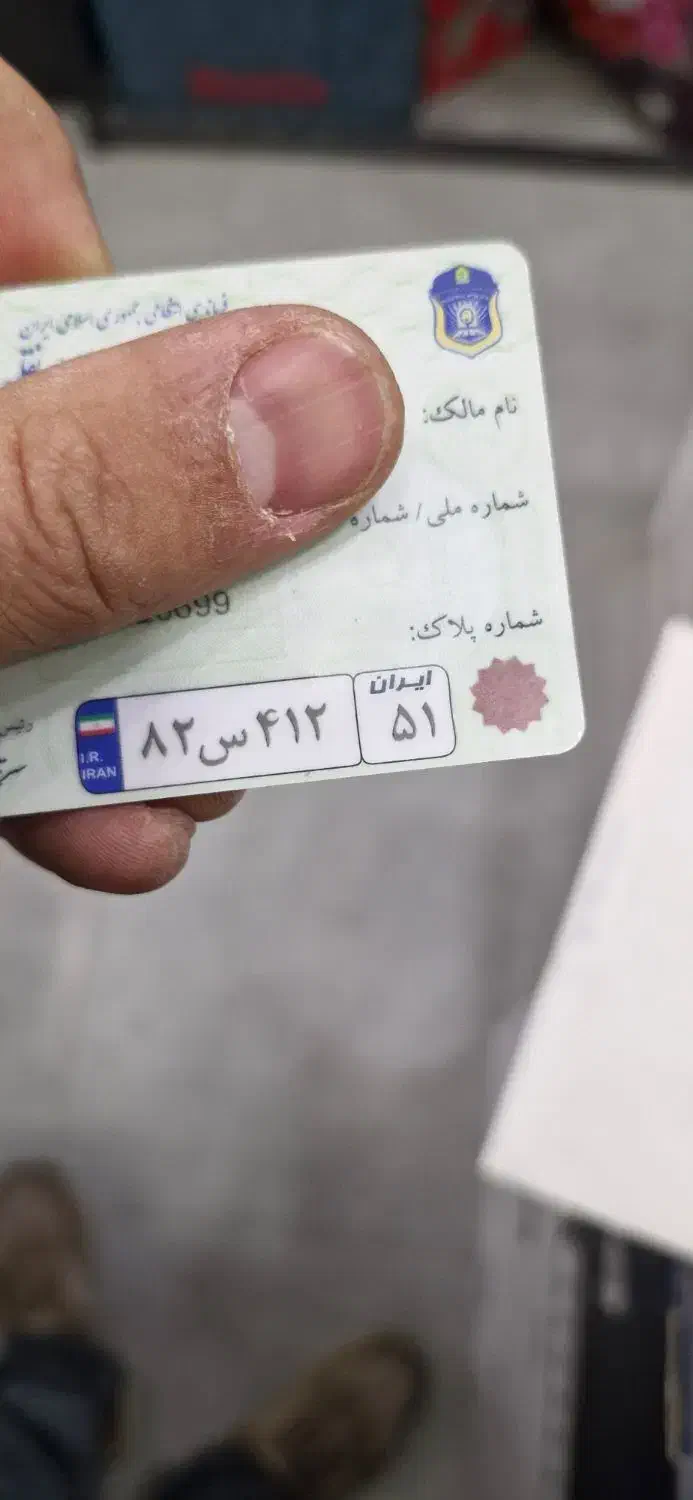 برگ سبز و برگه کمپانی گم شده|اشیا|سنندج, |دیوار