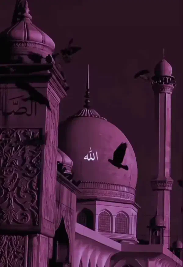 راهنمایی در امور مذهبی|فعالیت داوطلبانه|ورامین, قويينک زهری|دیوار