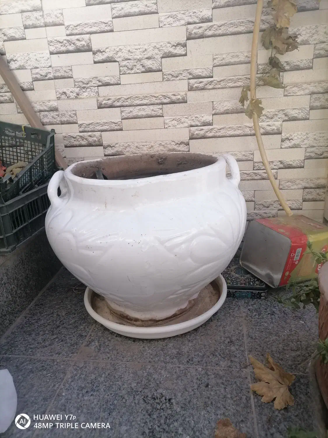 گلدان سفالی بزرگ|گل و گیاه طبیعی|نیشابور, فیض آباد|دیوار