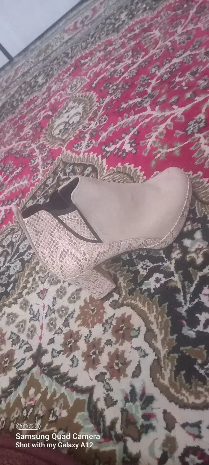 کفش نو نو|کیف، کفش، کمربند|سهند, |دیوار