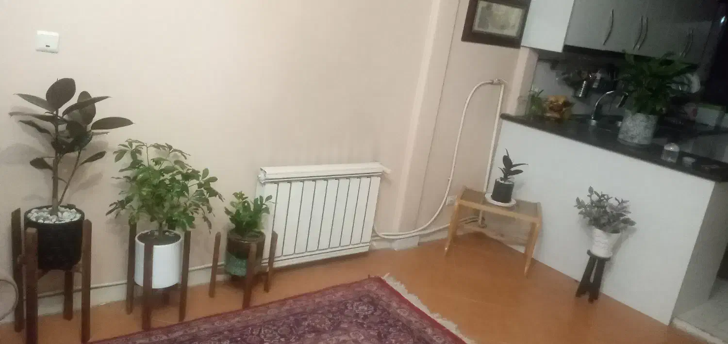 همخونه|اجارهٔ آپارتمان|تهران, نصرت|دیوار