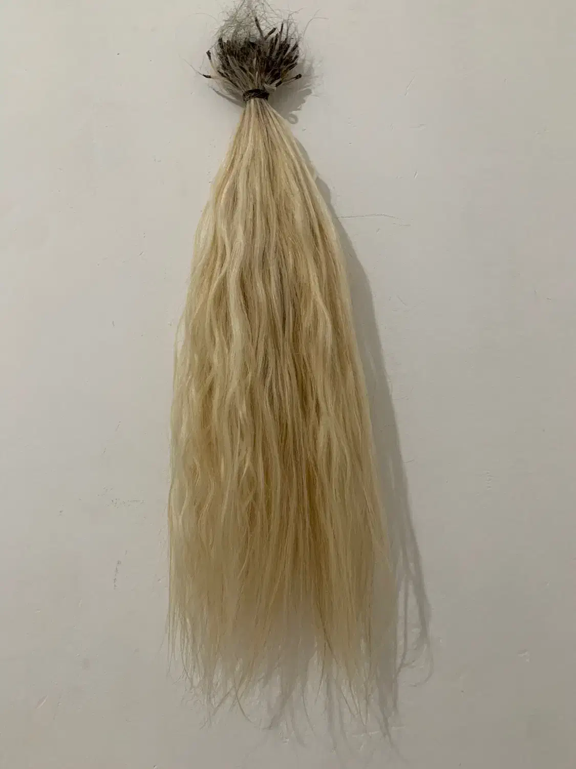 ۲۱۰شاخه مو طبیعی بلوند سر کراتین|آرایشی، بهداشتی، درمانی|نیشابور, شهرک اندیشه|دیوار