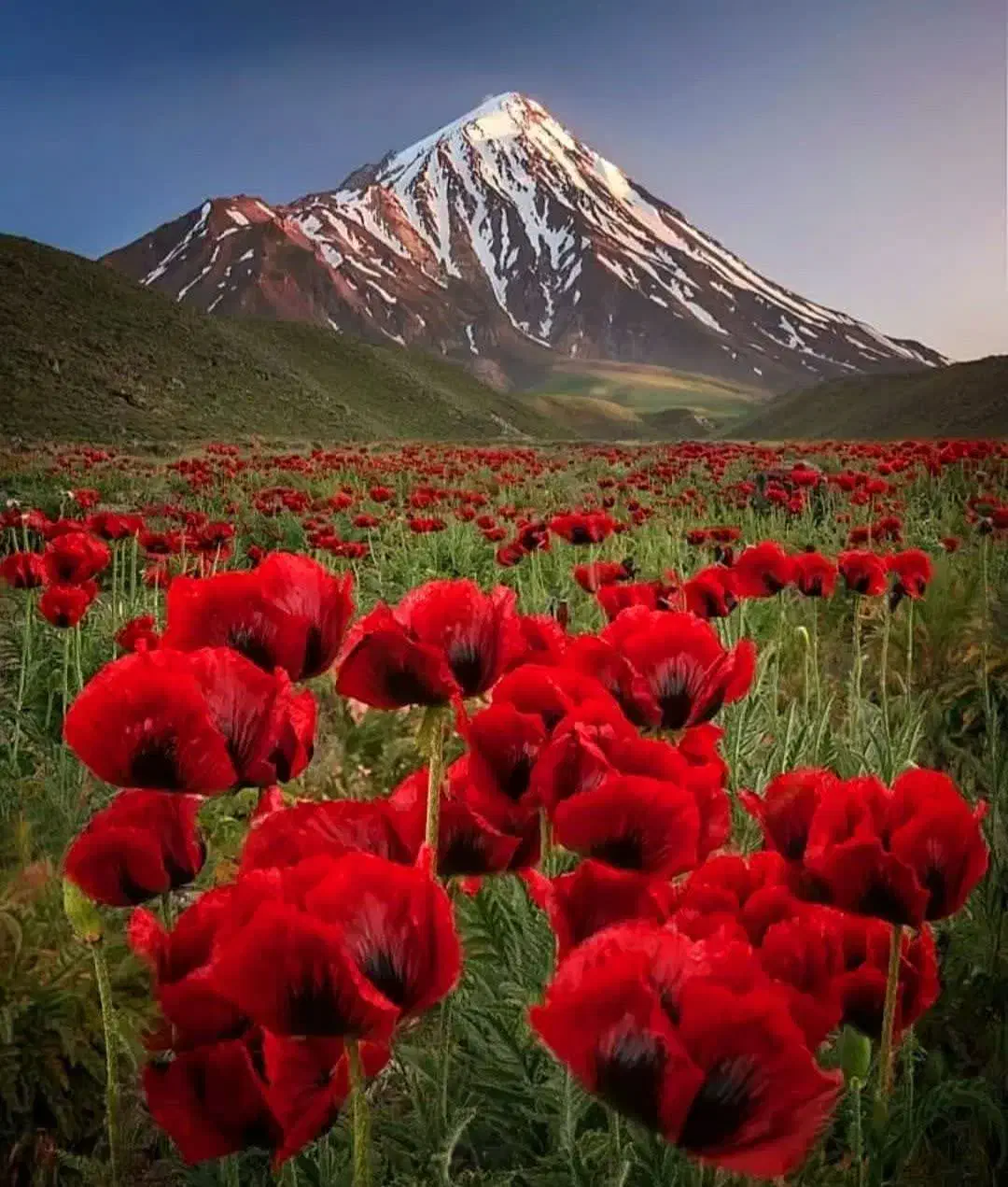 سیم کارت ۳۴۹|سیمکارت|کهنوج, |دیوار