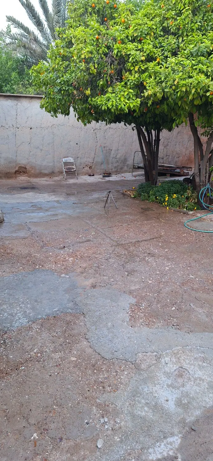 تصویر 3