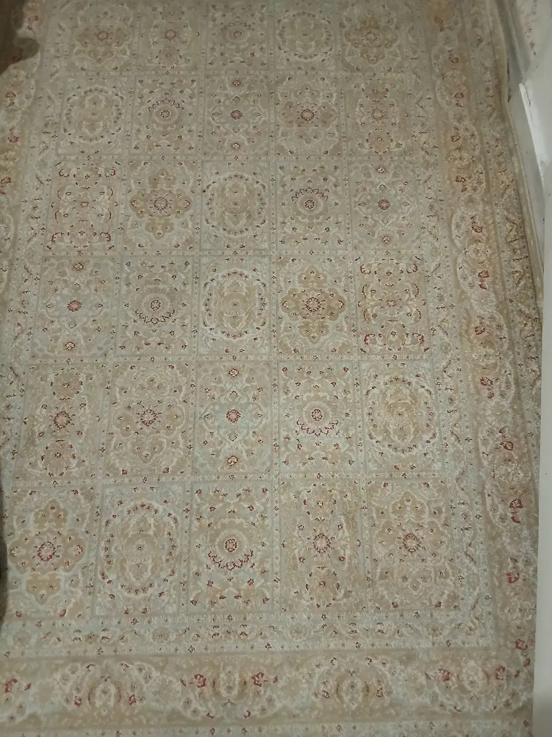 فرش یک نیم متری بلژیکی|فرش|تهران, آشتیانی|دیوار