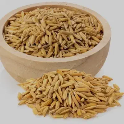 اجاره انبار شلتوک|اجارهٔ دفتر صنعتی، کشاورزی، تجاری|اهواز, سیاحی(سه راه خرمشهر)|دیوار