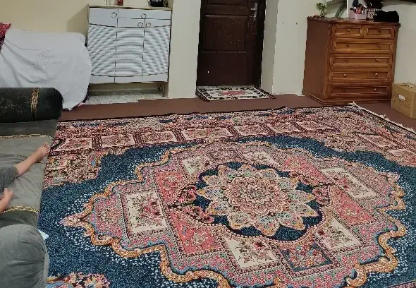 فرش دوچرخه پشتی و لباسشویی|فرش|گرمسار, |دیوار