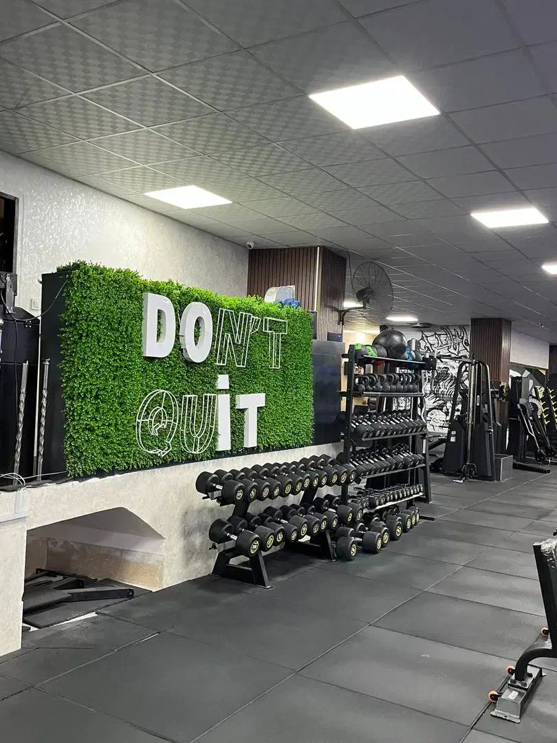 فروش تجهیزات بدنسازی|تجهیزات ورزشی|رشت, کاکتوس|دیوار