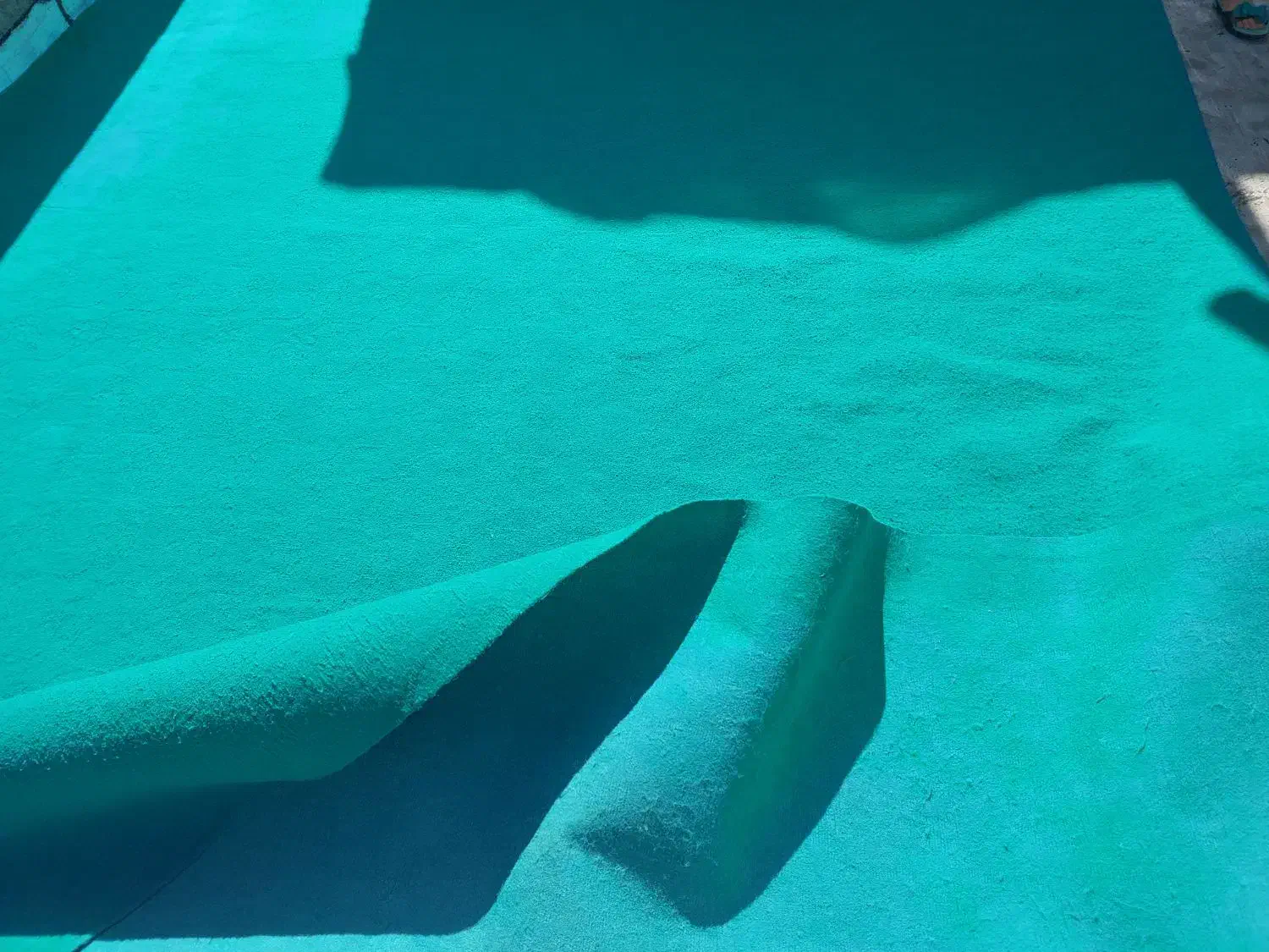 موکت رایگان|موکت|مهاباد (آذربایجان غربی), |دیوار