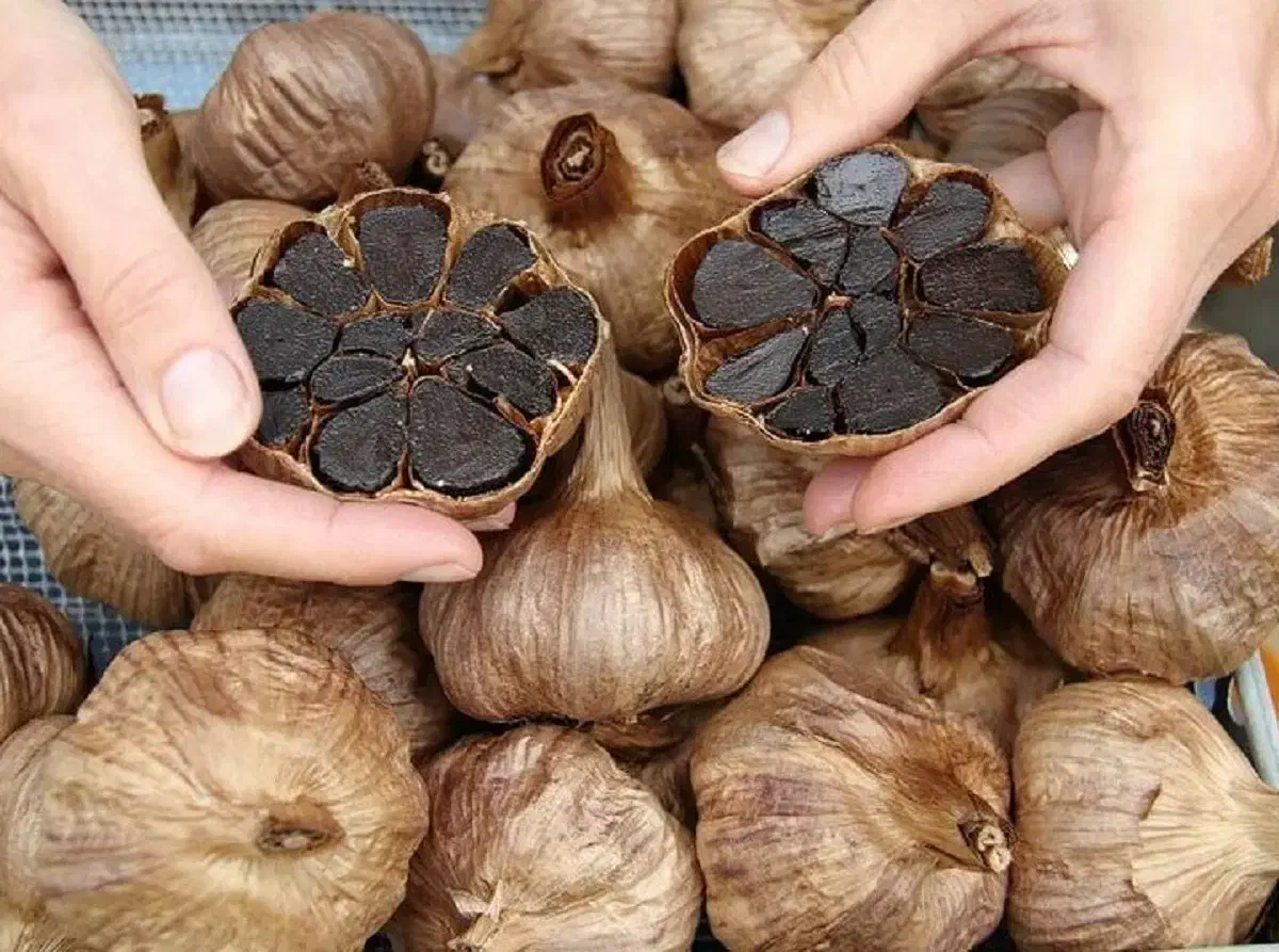 سیر سیاه فرآوری شده دکتر بیز|آرایشی، بهداشتی، درمانی|تهران, علم و صنعت|دیوار