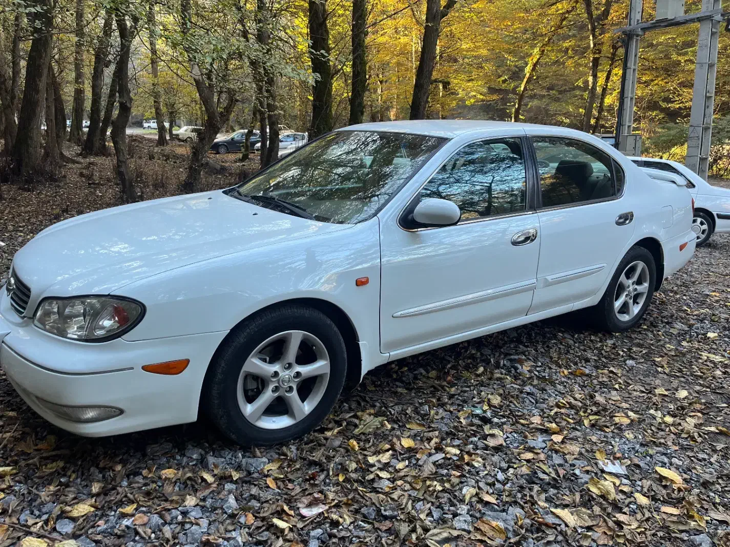 ماکسیما مدل ۸۹ بدون رنگ تمیز|خودرو سواری و وانت|قائم‌شهر, |دیوار