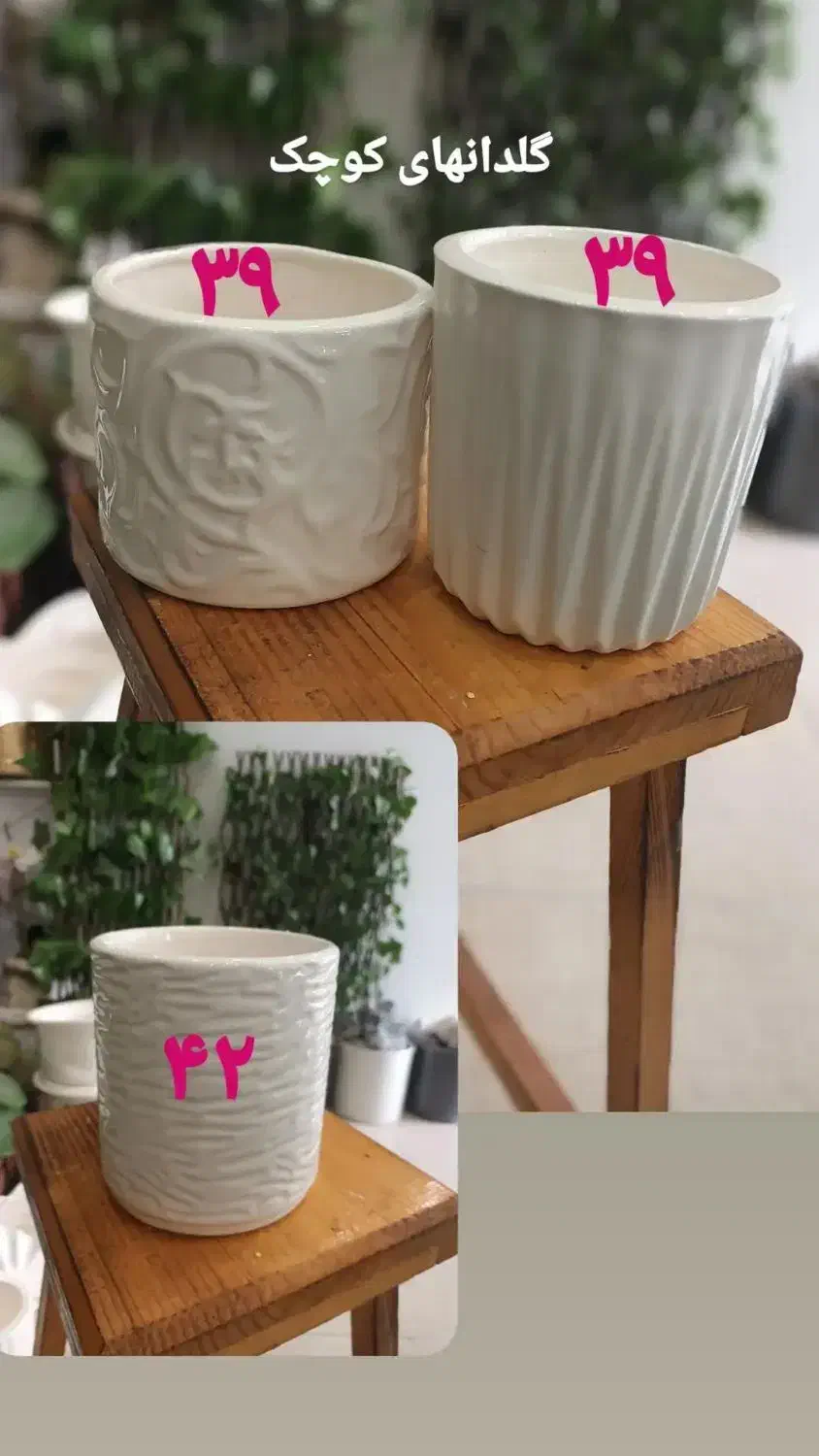 گلدان سرامیکی|گل و گیاه طبیعی|اصفهان, تخت فولاد|دیوار