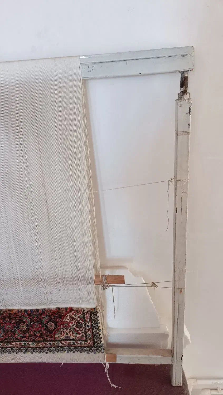 فرش ماهی|فرش|اسلام‌شهر, شهرک قائمیه|دیوار