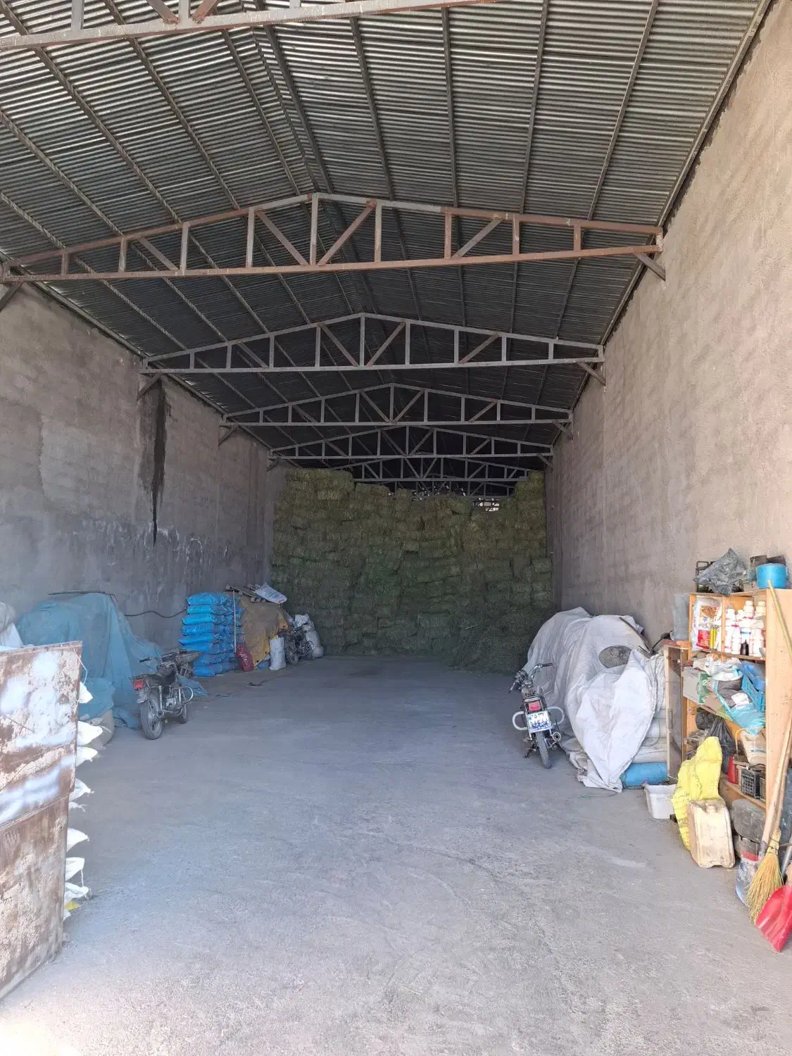 یونجه درجه یک|خدمات باغبانی و درختکاری|شازند, |دیوار