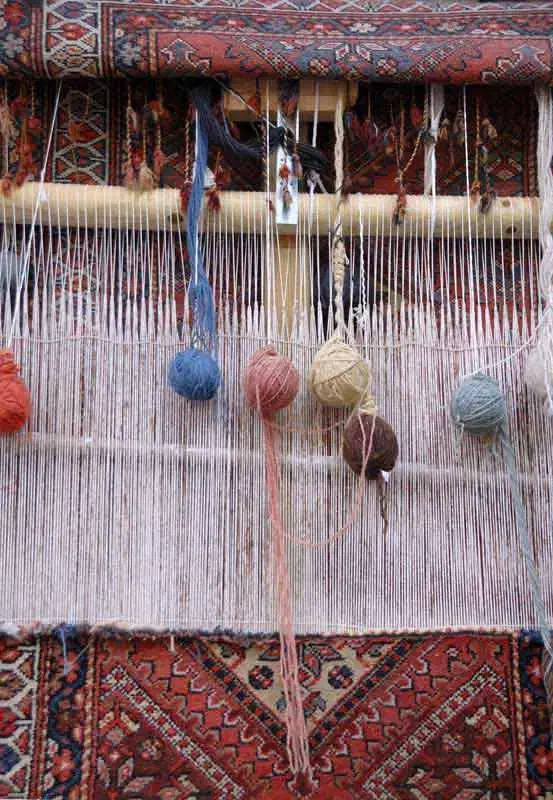 قالی فروشی|فرش|مراغه, |دیوار