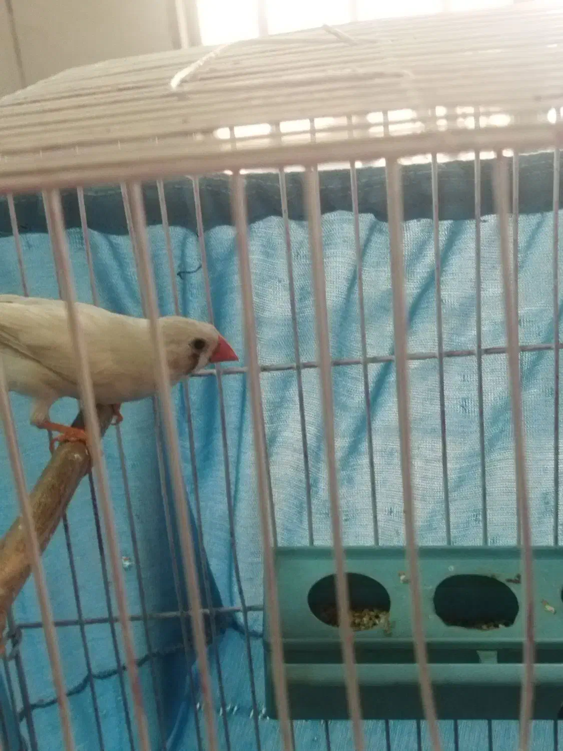 تلویزیون وفنج مولد|تلویزیون و پروژکتور|تهران, صاحب الزمان|دیوار