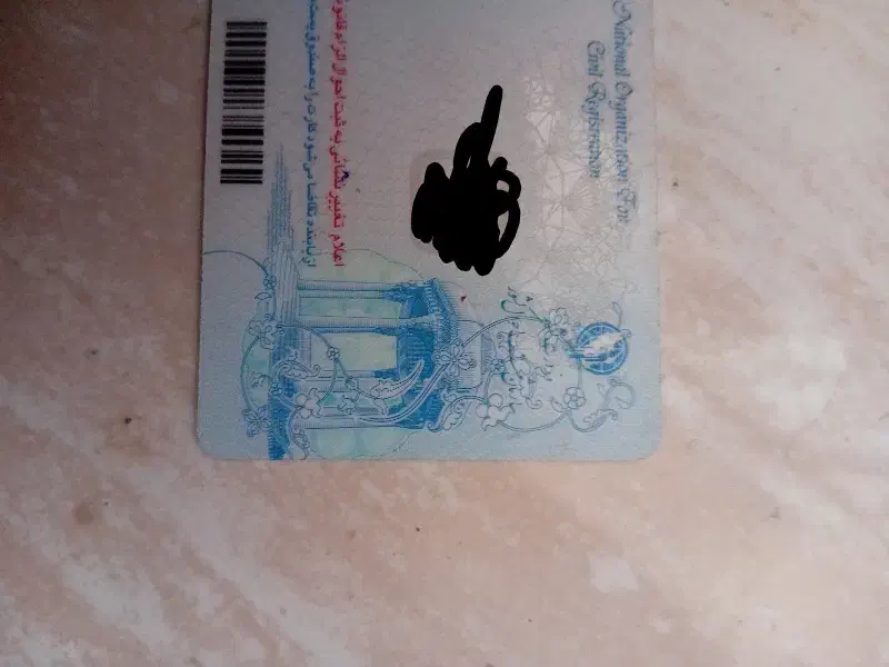 پیداشده|اشیا|شیبکوه (فارس), |دیوار