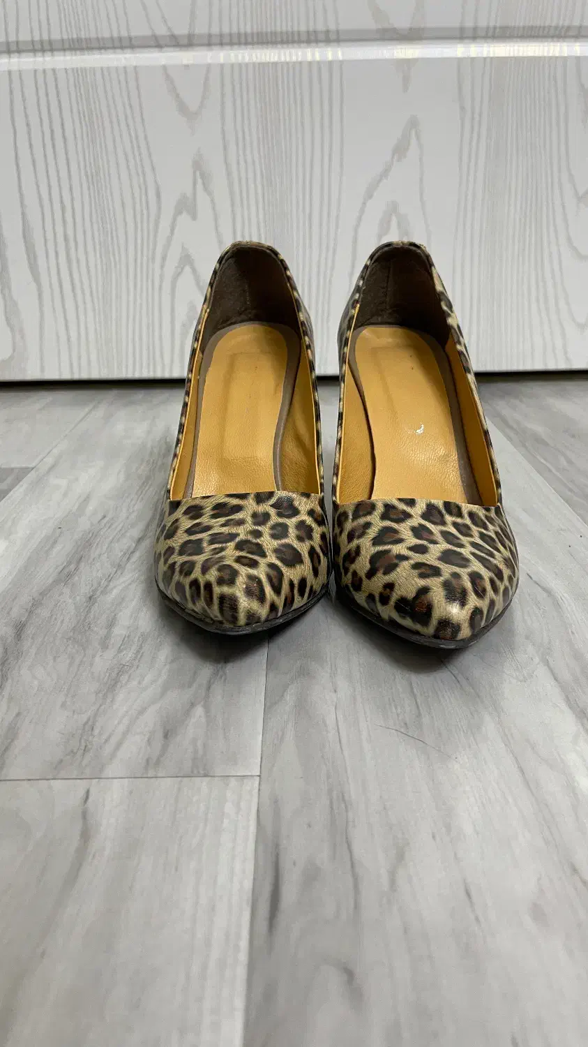 کفش پلنگی|کیف، کفش، کمربند|ملایر, |دیوار