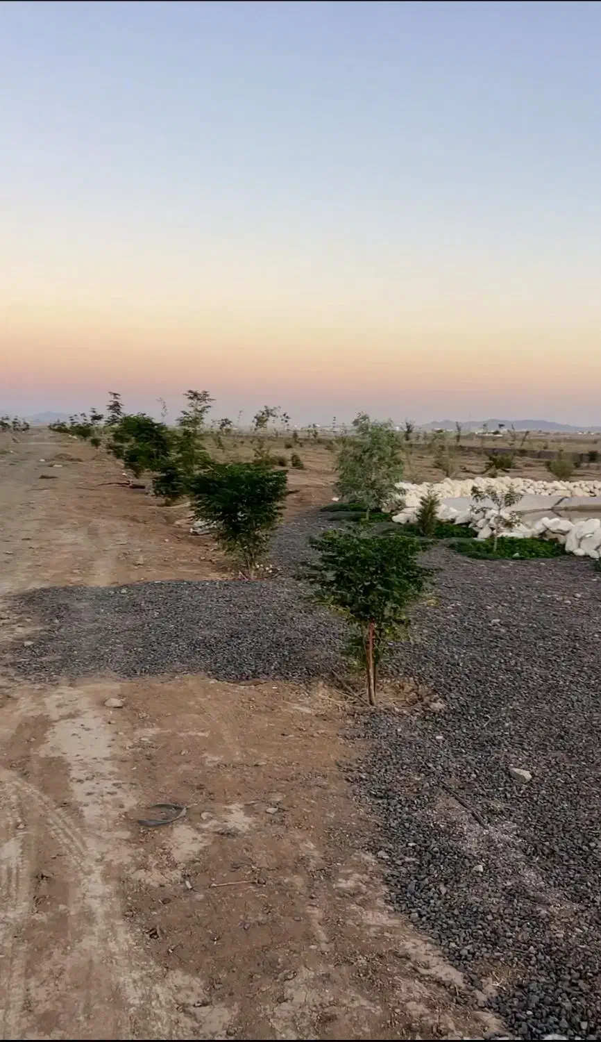 فروش باغچه فوری|فروش زمین و ملک کلنگی|زرندیه, |دیوار