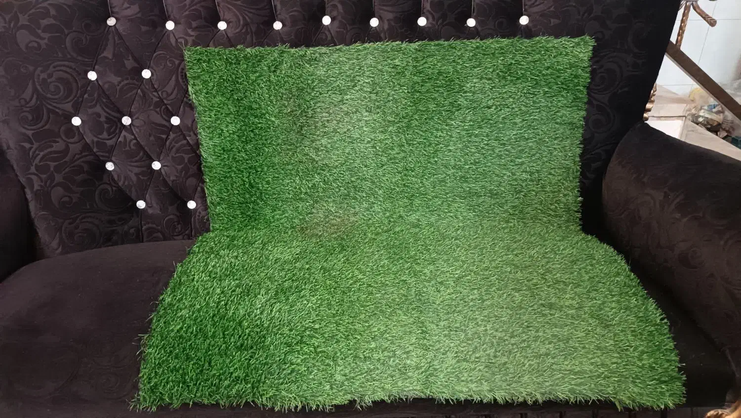 چمن مصنوعی ، پادری|پادری|شیراز, فرودگاه شهید دستغیب شیراز|دیوار