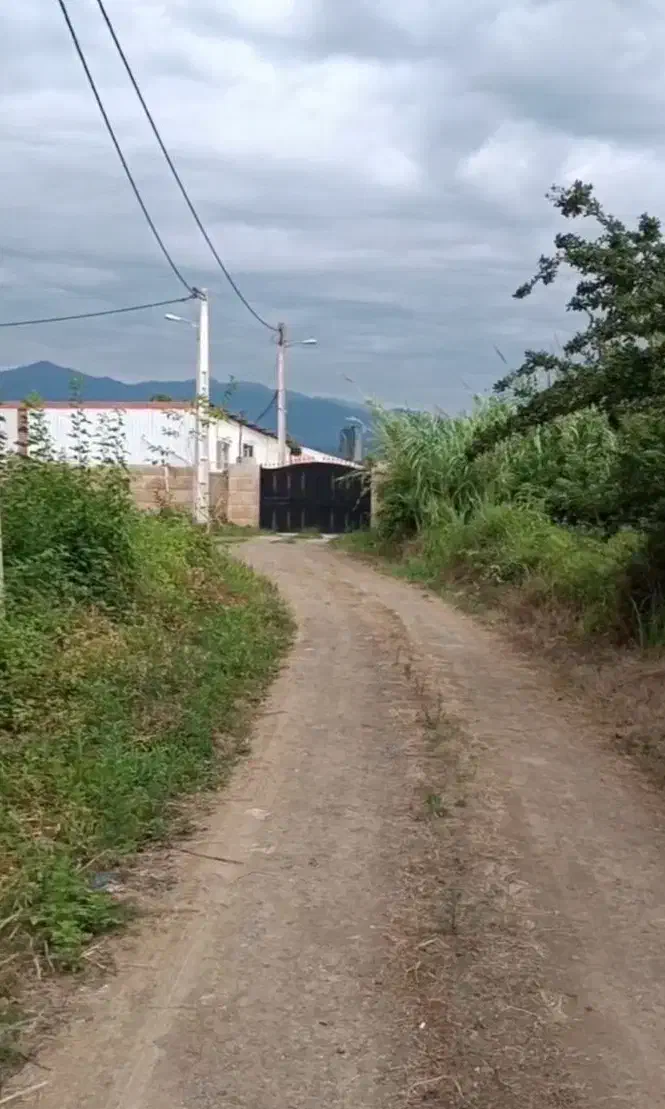 فروش 312 زمین تخفیف بلک فرایدی|فروش زمین و ملک کلنگی|املش, |دیوار