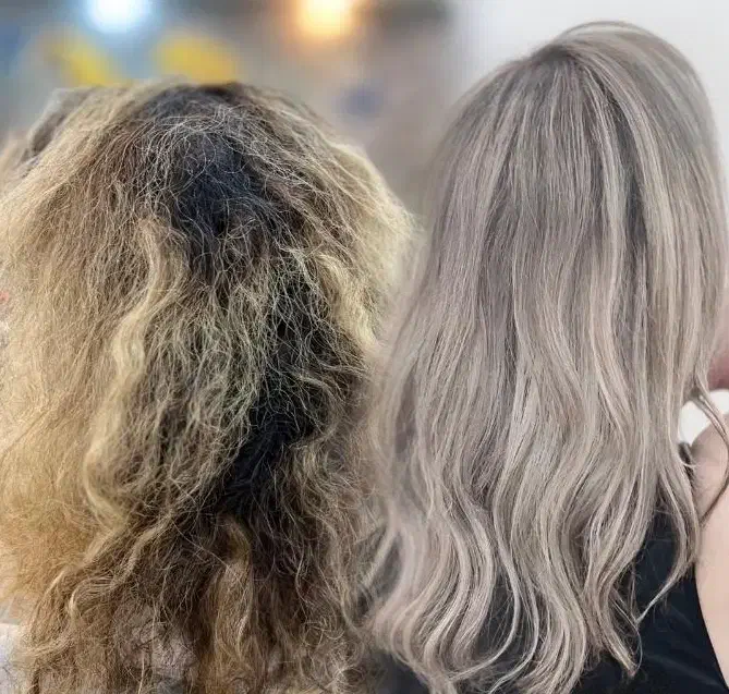 آموزش ببین و فورا وارد بازار کار شو|خدمات آموزشی|لاهیجان, یحی آباد|دیوار