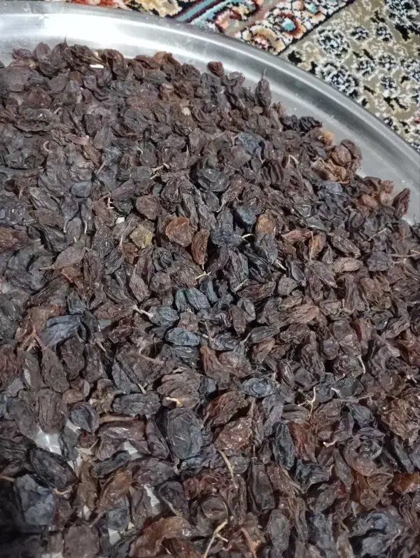 مویز رطبی|خوردنی و آشامیدنی|شیراز, کوشک بیدک|دیوار