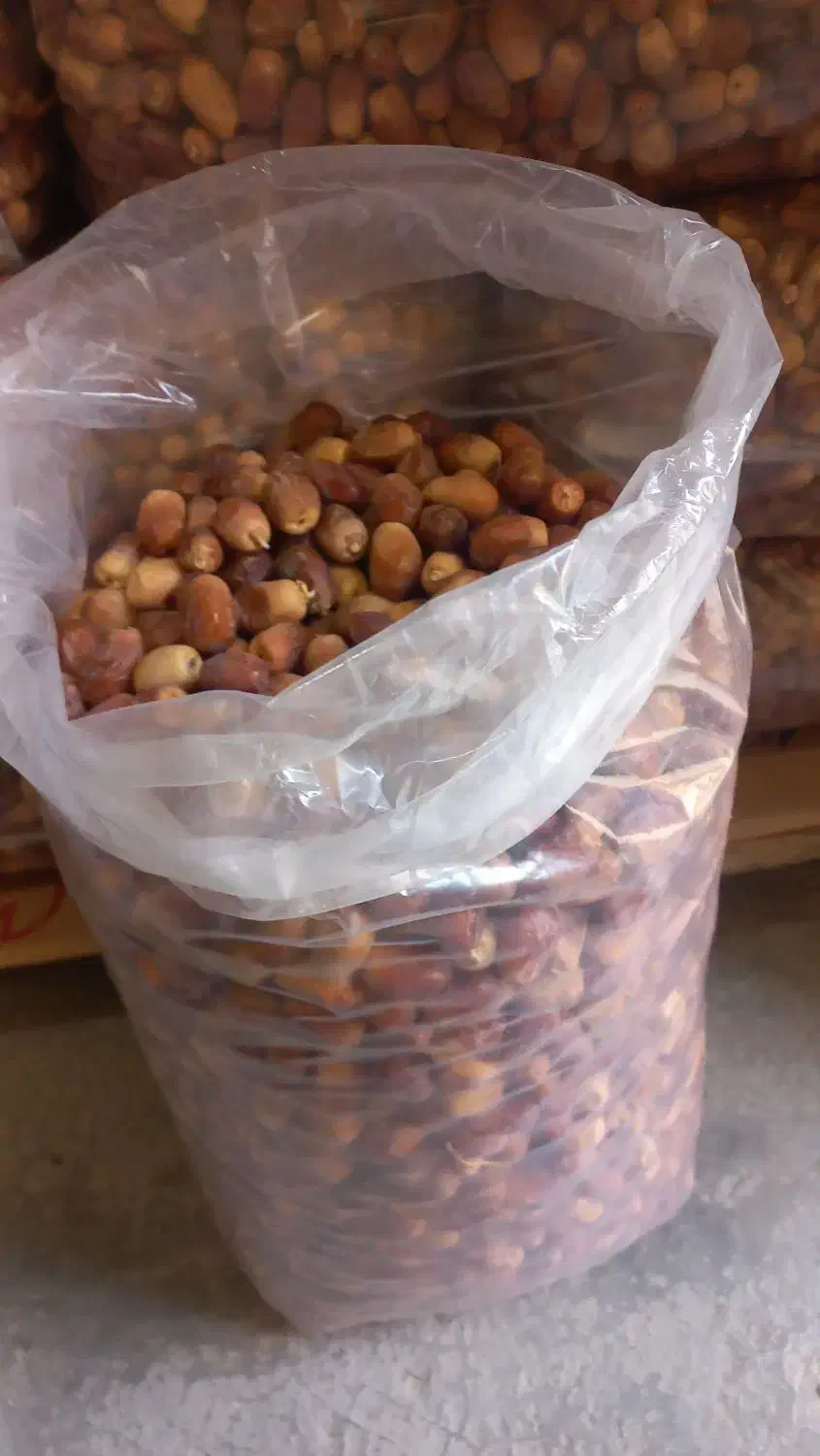 فروش خرمای قصب|خوردنی و آشامیدنی|چاه ورز, |دیوار