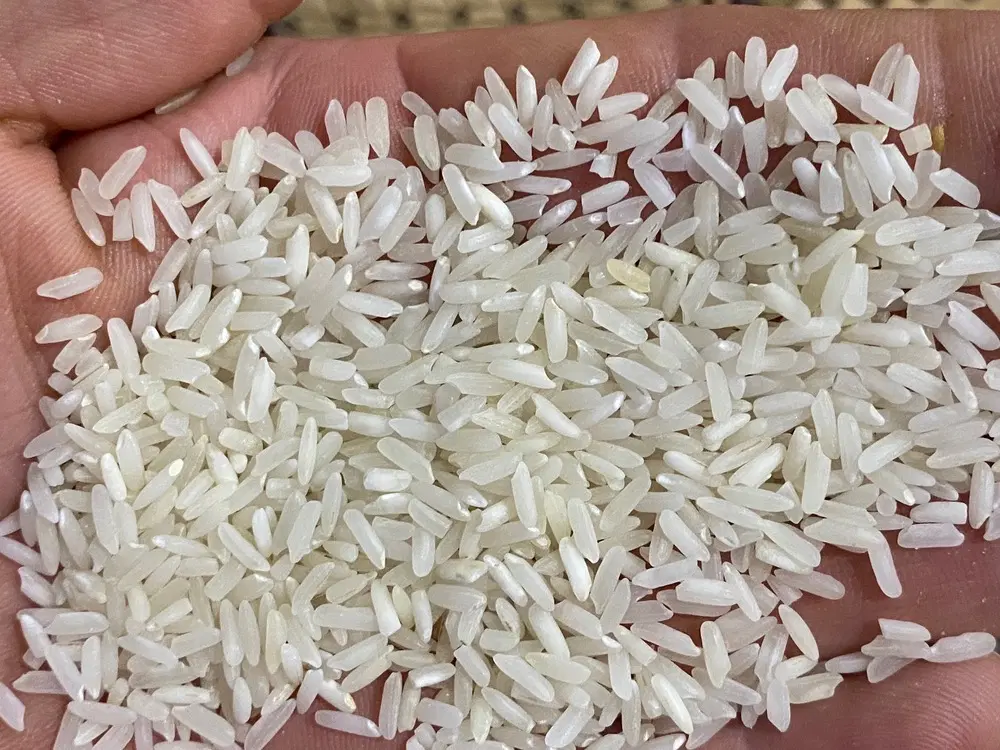 مواد غذایی برنج|خوردنی و آشامیدنی|تهران, بروجردی|دیوار