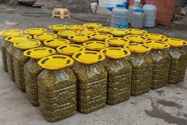 فروش عمده زیتون با پایین ترین قیمت|خوردنی و آشامیدنی|تهران, دریان‌نو|دیوار