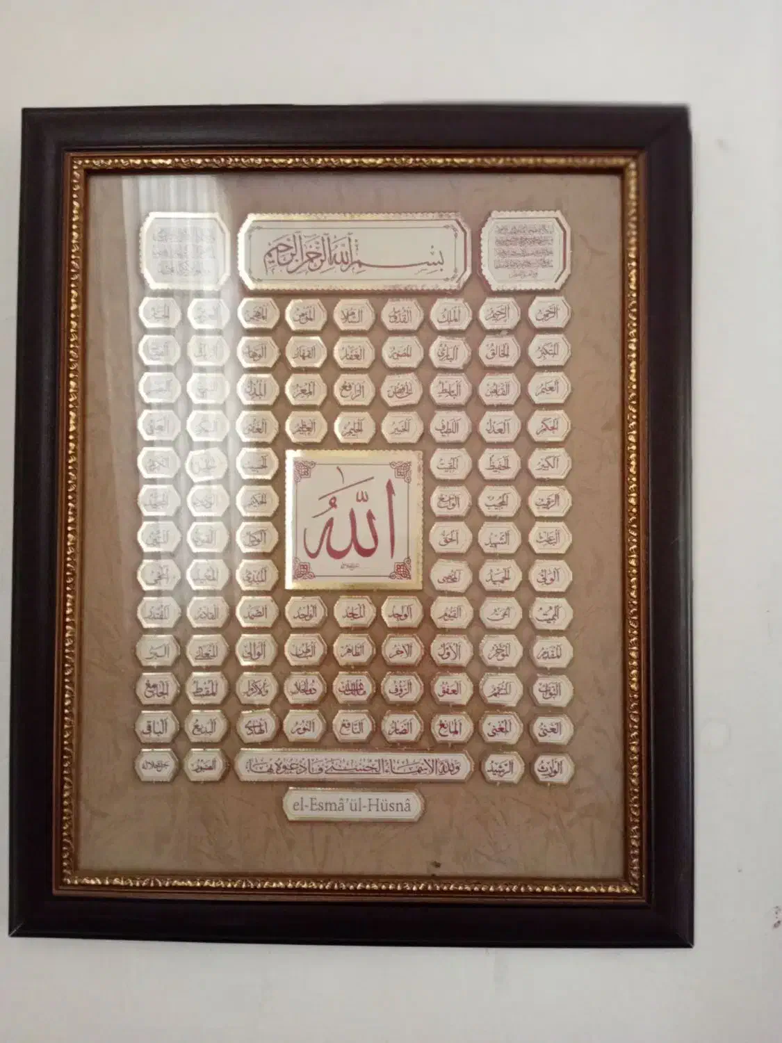 تابلو پروانه|تابلو، نقاشی، عکس|رشتخوار, |دیوار