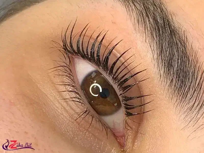 لیفت مژه و ابرو|خدمات آرایشگری و زیبایی|اندیشه, اندیشه فاز ۱|دیوار