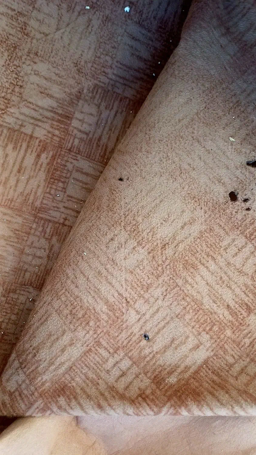 موکت ۱۲متری|موکت|اهواز, کمپلو جنوبی|دیوار