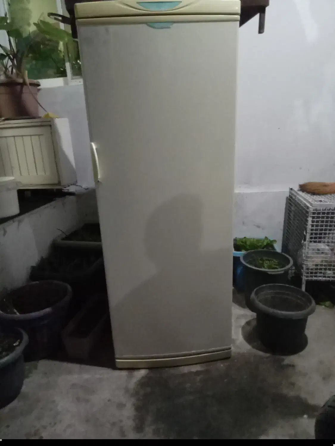 یخچال سالم بشرط|یخچال و فریزر|رویان, |دیوار