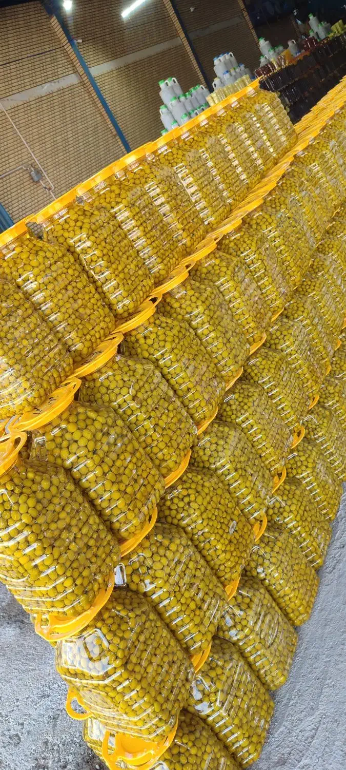 زیتون ویژه|عمدهفروشی|قم, شهرک خودرو|دیوار