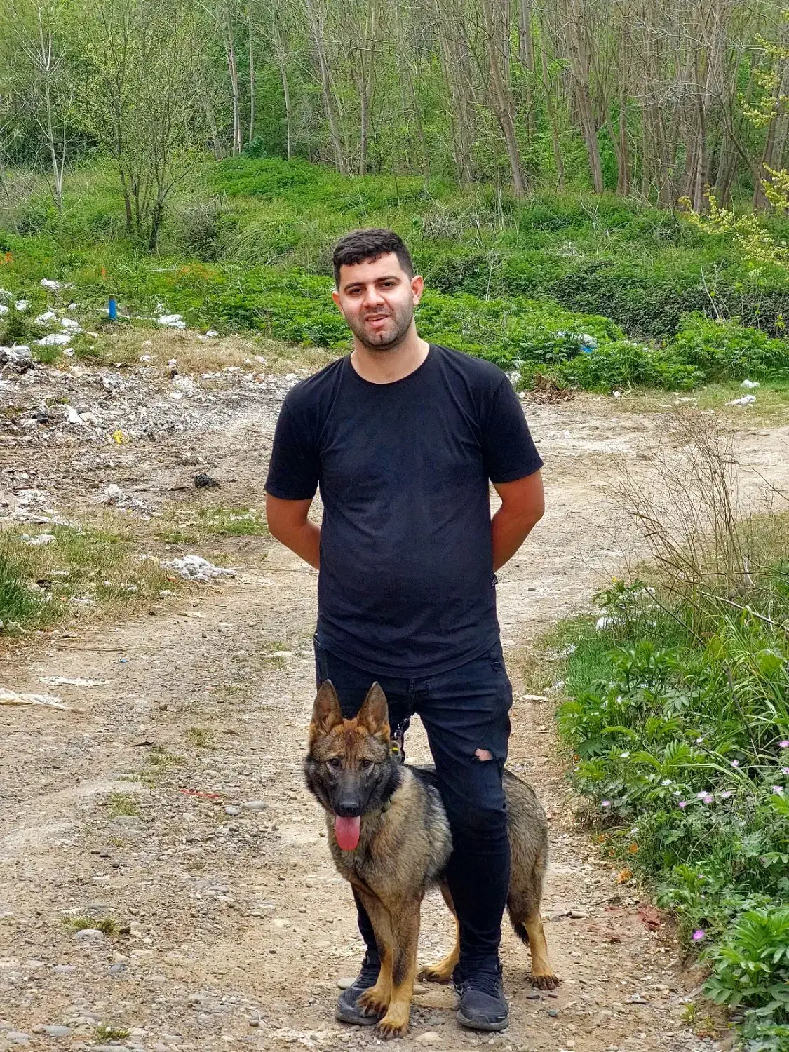 ژرمن مادهورک لاین رنگ سیبل|سگ|لاهیجان, پردسر|دیوار