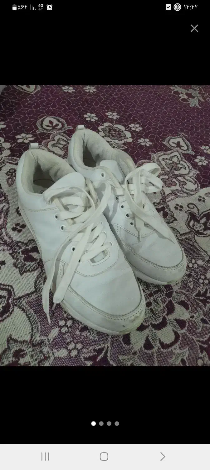 کفش کتانی|کیف، کفش، کمربند|اردبیل, |دیوار