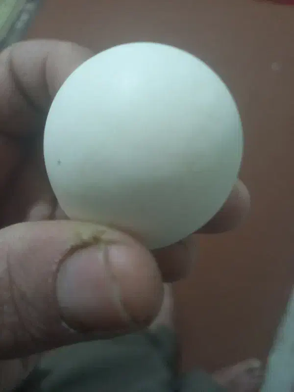 الماس الکساندریت|کلکسیون اشیاء عتیقه|شهرکرد, |دیوار