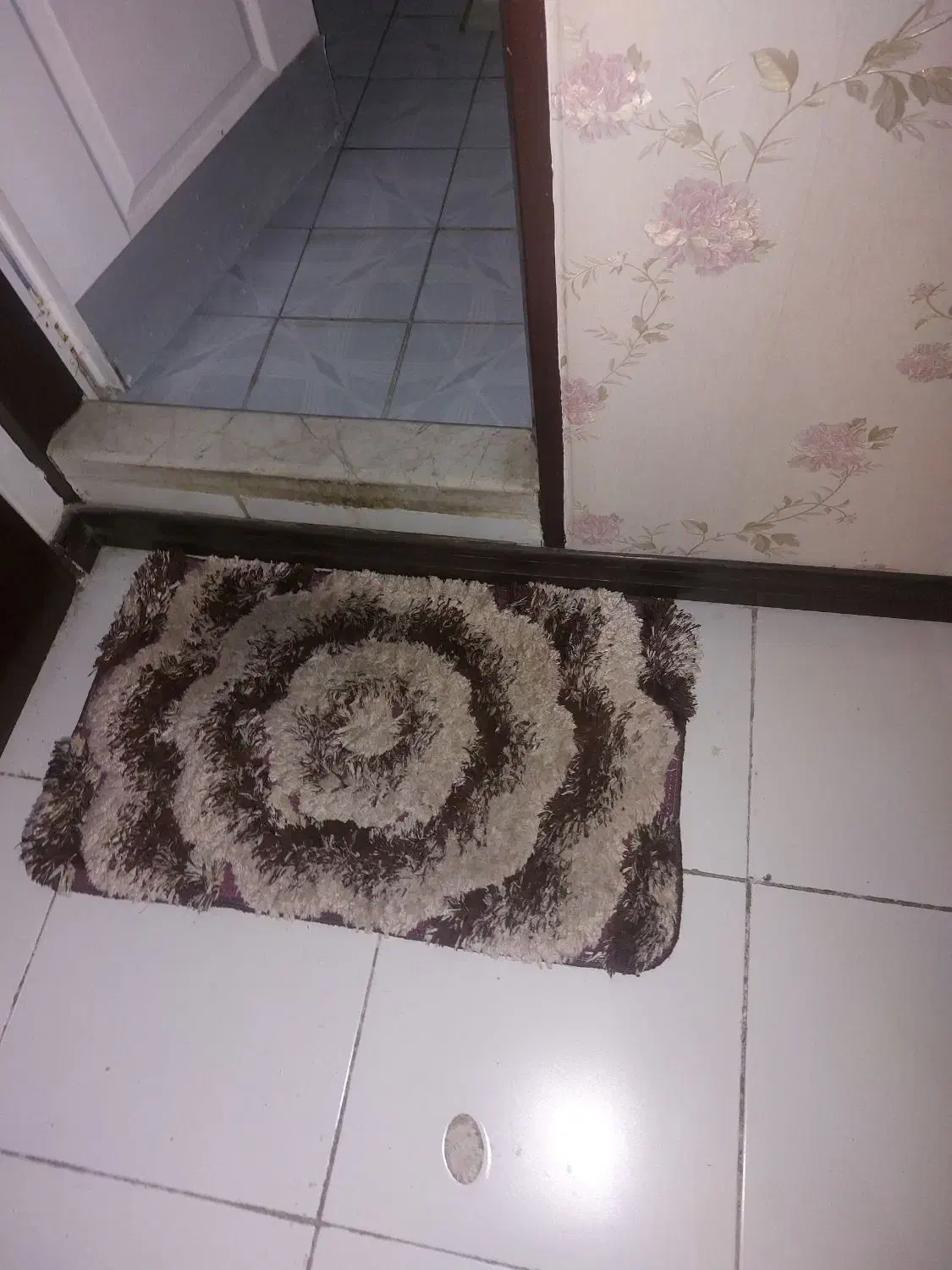 قالیچه و۳عدد پادری|پادری|تهران, شهید اسدی|دیوار