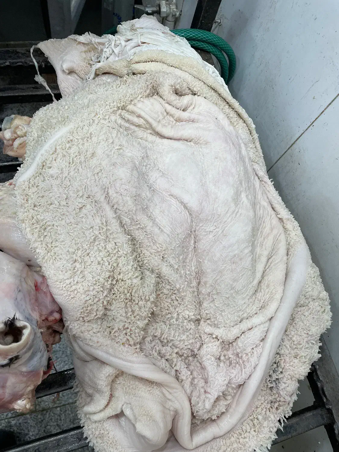 سیراب اعلا|خوردنی و آشامیدنی|اصفهان, سرتاوه|دیوار