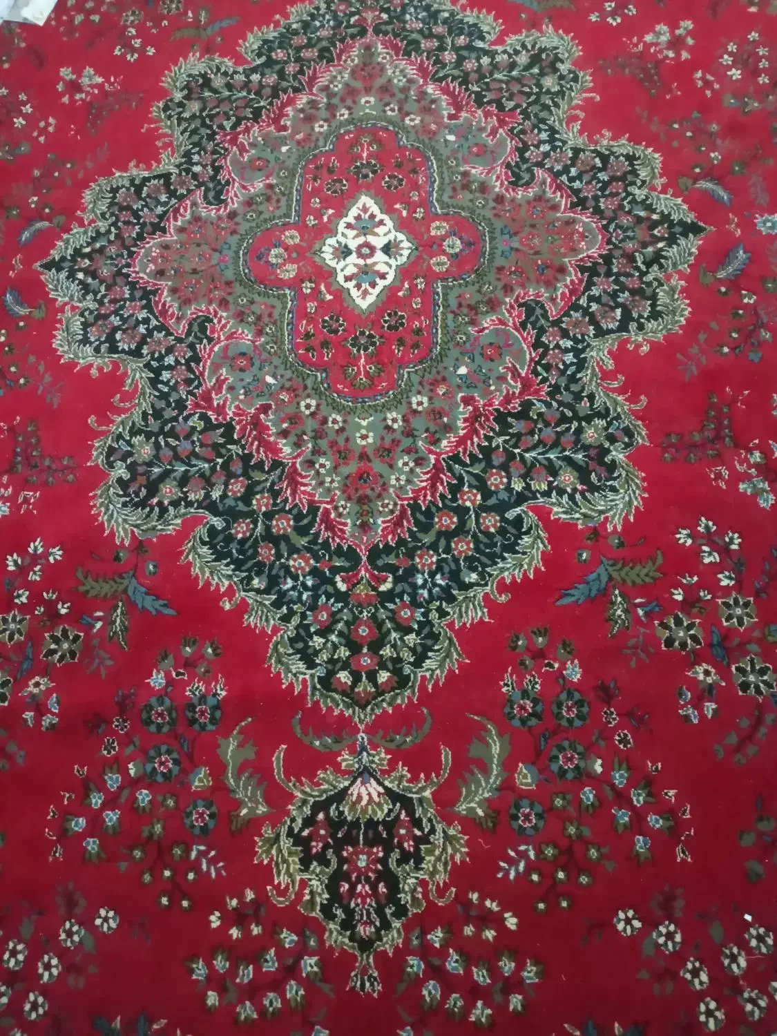 فرش ۱۲ متره|فرش|گرمسار, |دیوار