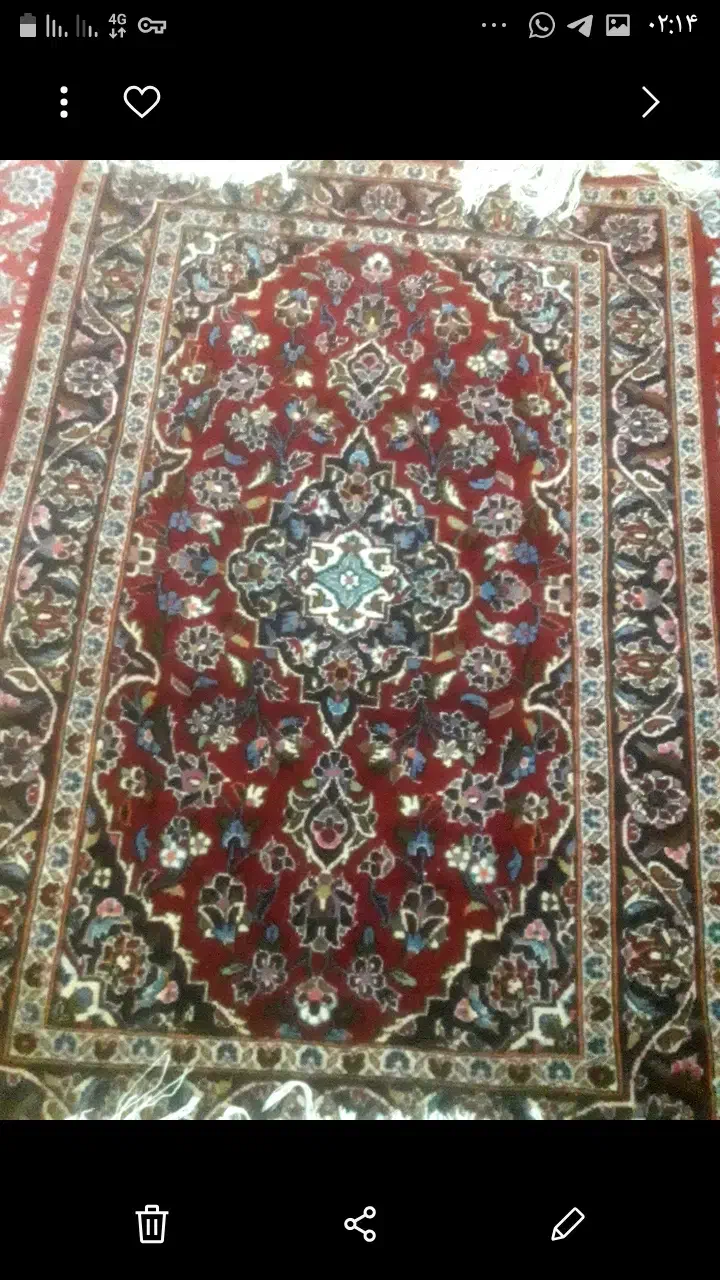 فرش دستباف|فرش|قم, بکایی|دیوار
