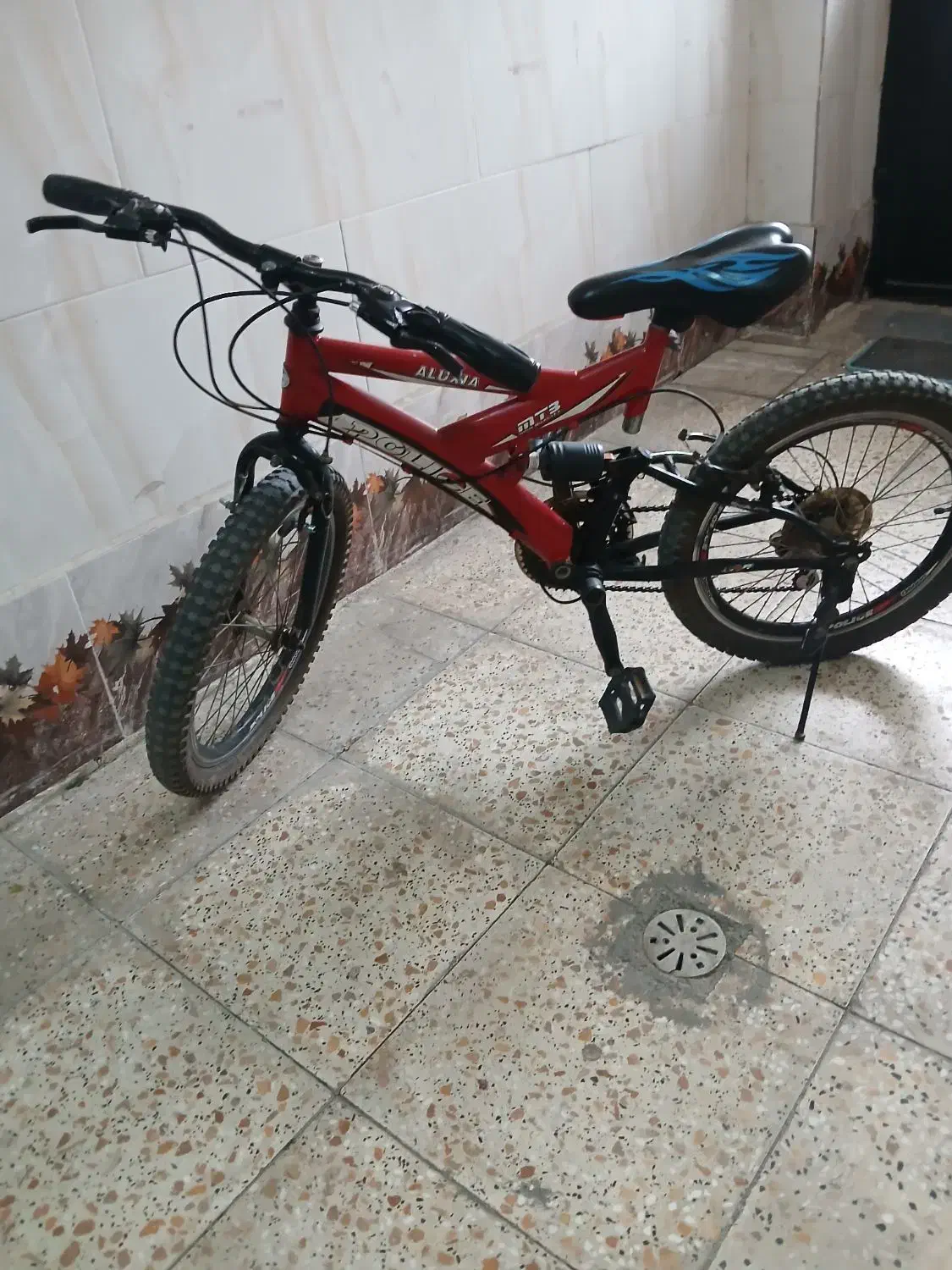 دوچرخه۲۰|دوچرخه، اسکیت، اسکوتر|فردیس, داوری|دیوار