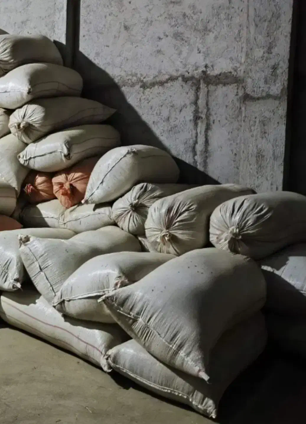 یونجه|لوازم جانبی حیوانات|جونقان, |دیوار